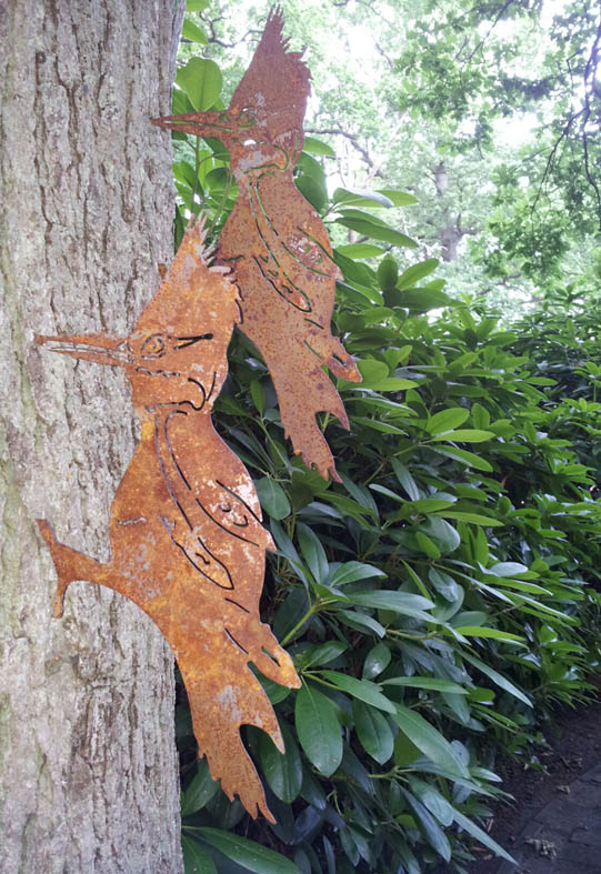 Ga_524_Specht_hacky_3